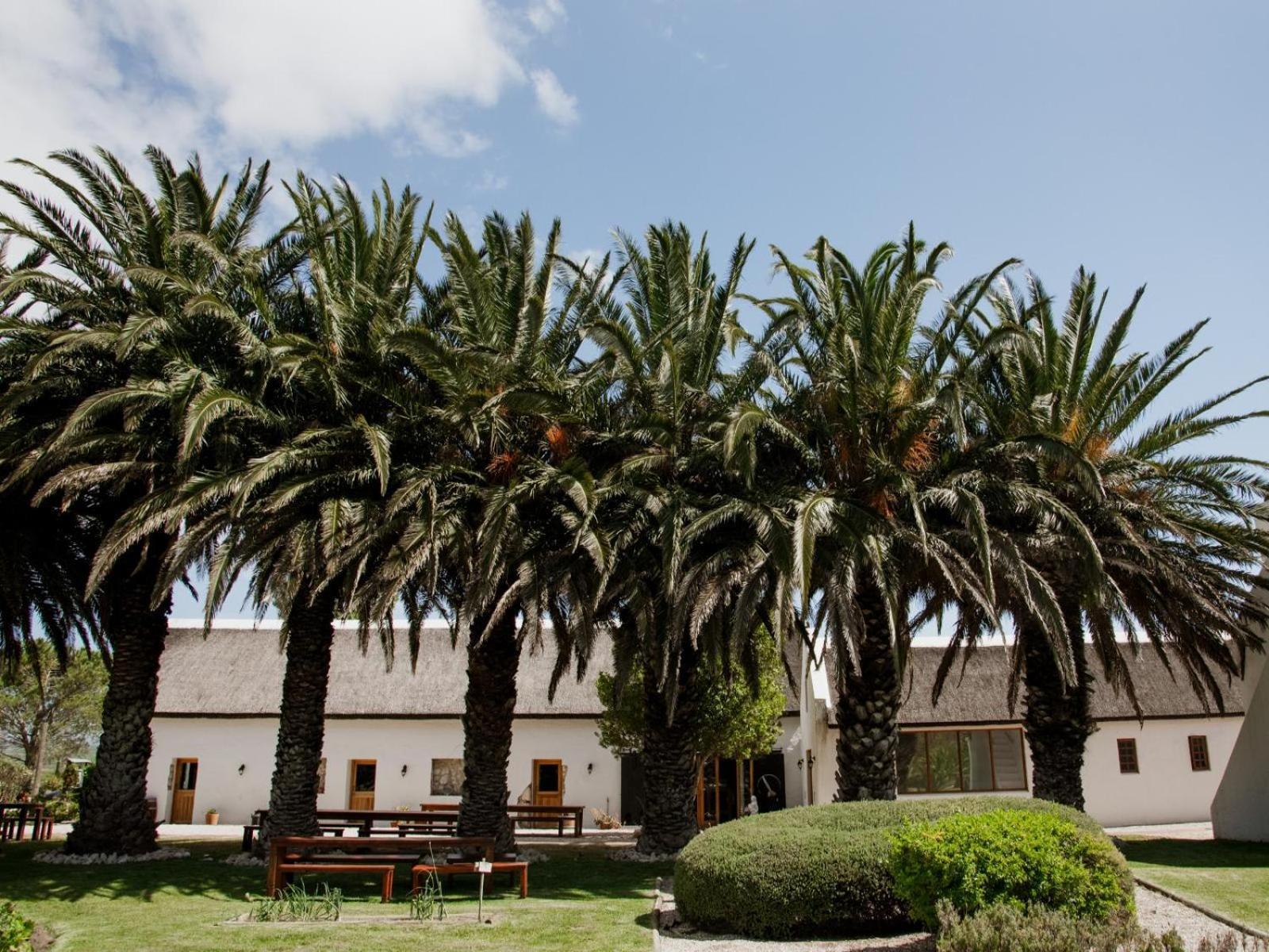 Springfontein Wine Estate Stanford Exterior foto