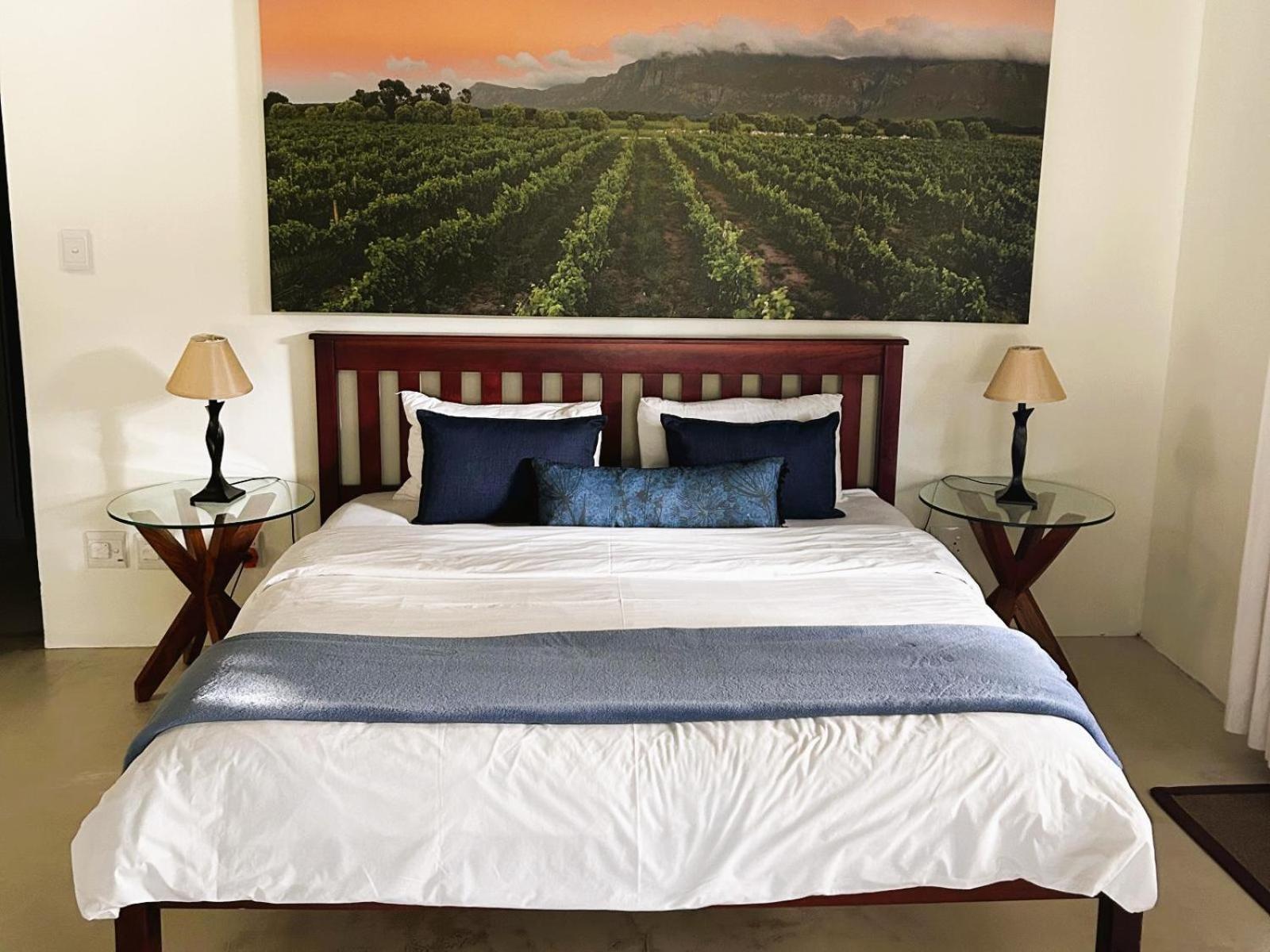 Springfontein Wine Estate Stanford Quarto foto