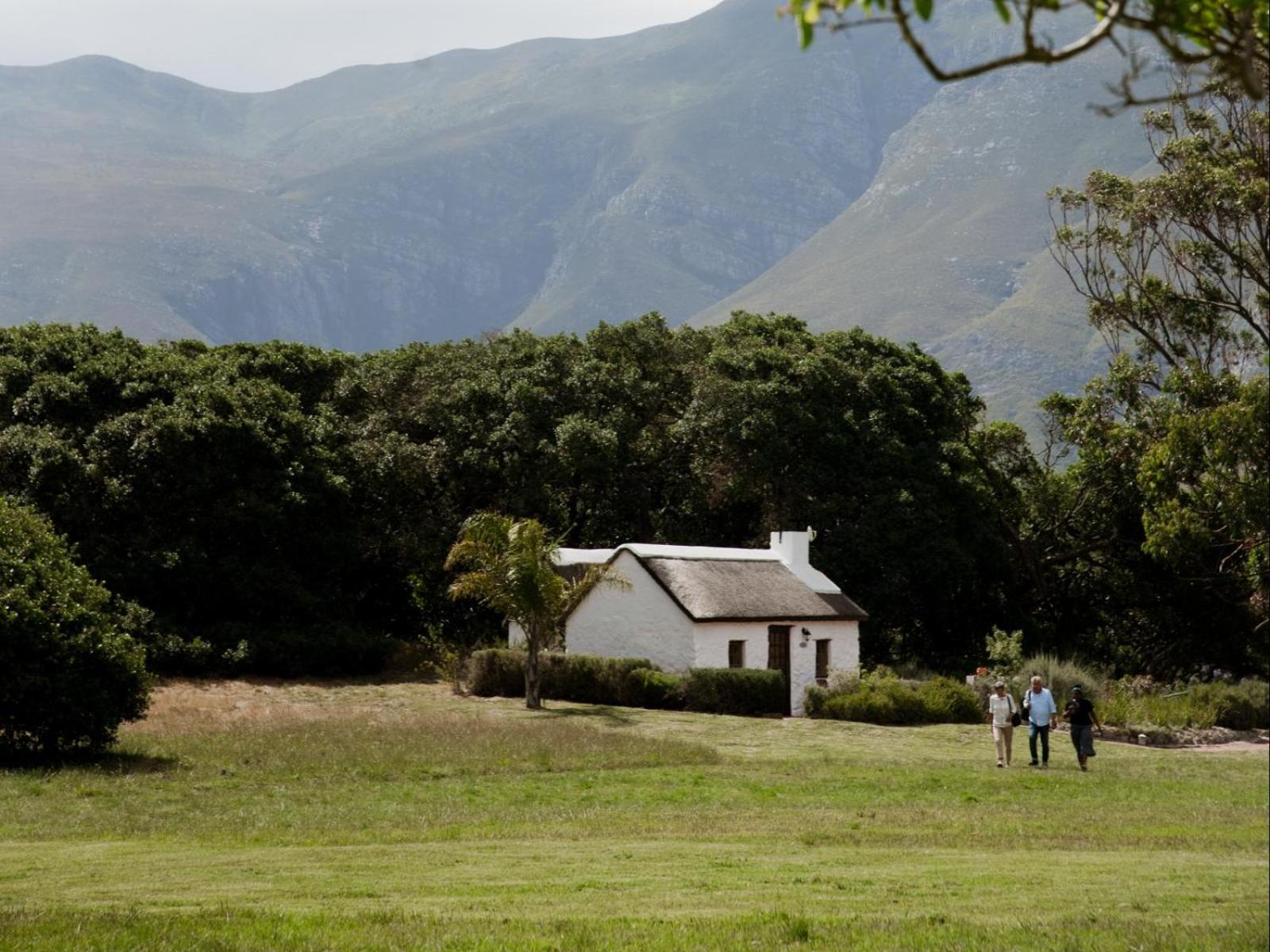 Springfontein Wine Estate Stanford Exterior foto