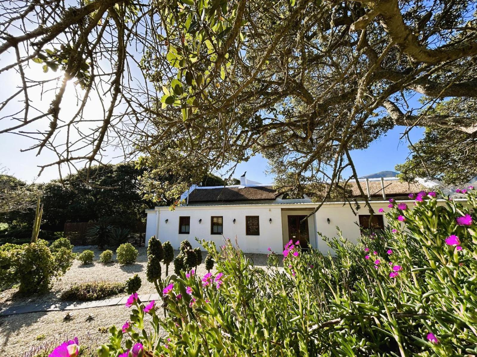 Springfontein Wine Estate Stanford Exterior foto